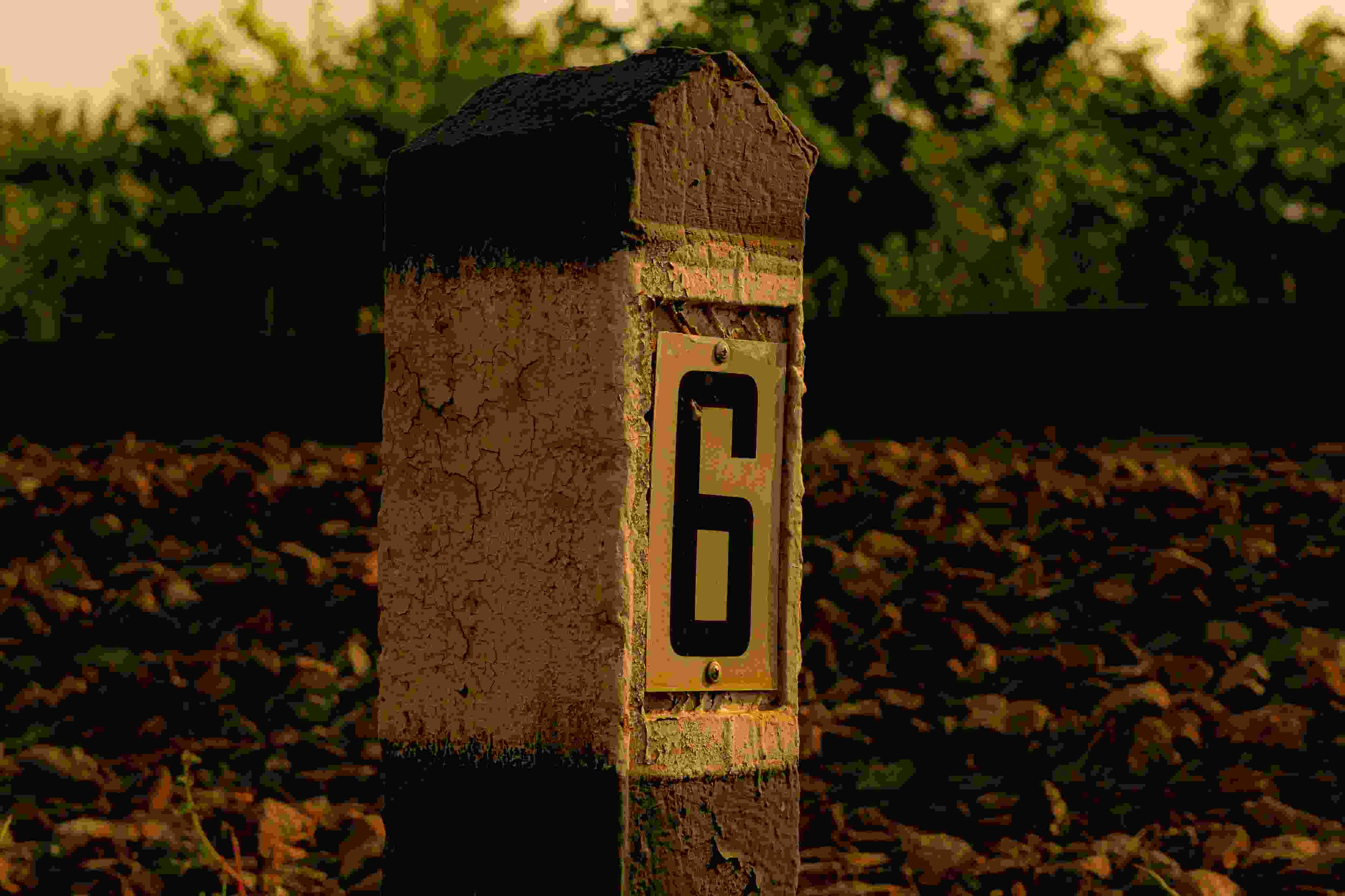 Number 6 numerology